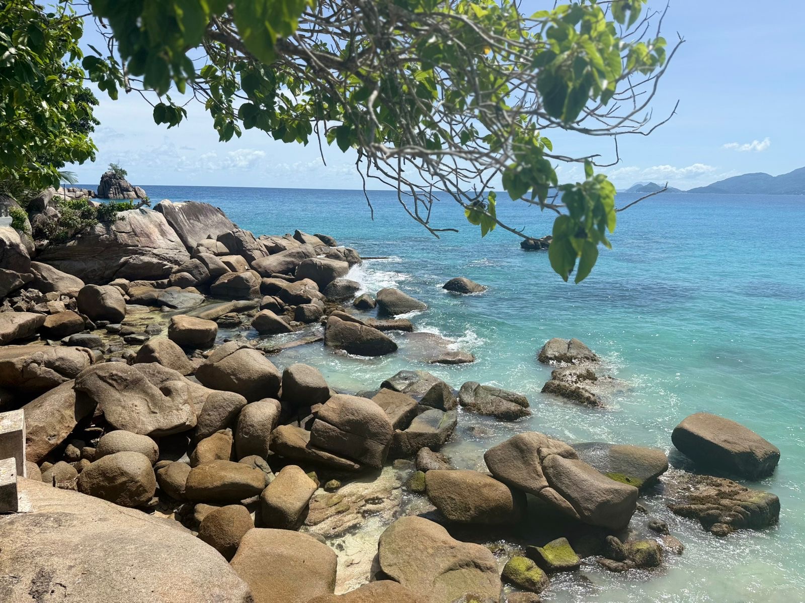 Amedee Island Tour